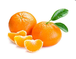 Malta Mandarin