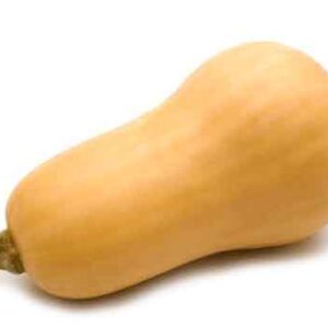 Squash