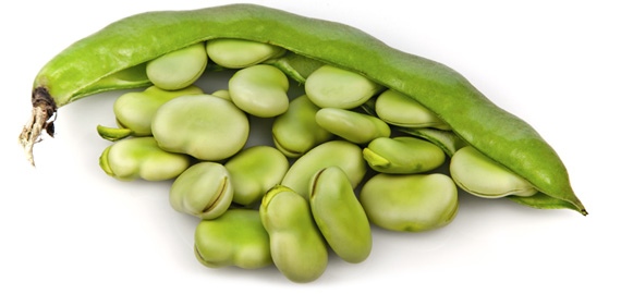 Broad Beans Per 1kg